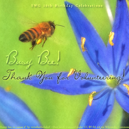 Busy bee, thank you for volunteering birthday card