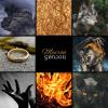A moodboard with nine squares: 1. ash cloud, 2. golden branches, 3. a wolf, 4. a golden ring, 5. the words "Mairon/Sauron" on a black  background, 6. a person with red hair and black and golden painted skin, 7.  a reaching hand, 8. fire, 9. a black cat