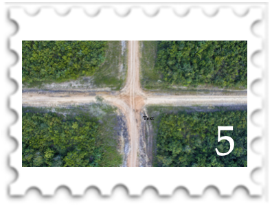 May 2024 Crossroads of the Fallen King SWG challenge stamp - aerial photo of dirt crossroads in a forest in spring or summer with the number 5 in the lower right corner