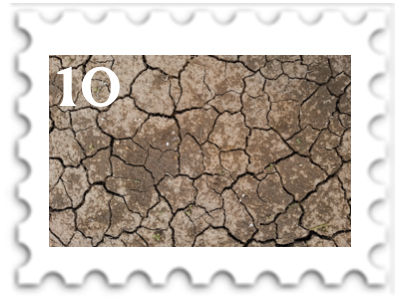 October 2024 Orctober SWG challenge stamp - parched earth