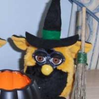 furby witch