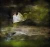 Woman in white windblown dress standing next to a green rock pool with a green cliff behind